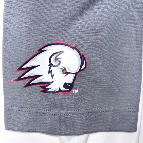 Nike Dri-FIT Dixie State Trailblazers‎ Polo Shirt Men's Large - Picture 4 of 6